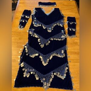 Gorgeous Deep Blue Velvet Middle Eastern Belly Dance Beledi Dress Costume, EUC